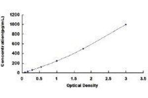 Activin A (ACVA) ELISA Kit