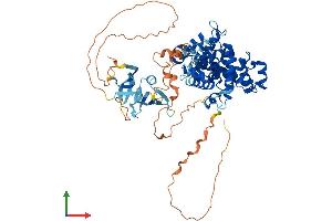 AlphaFold protein structure predicition of Mouse Recombinant Tbc1d17 Protein, UniprotID Q8BYH7