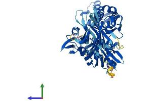 Protein Structure (PS) image for Heat Shock 70kDa Protein 14 (HSPA14) (AA 1-509) protein (His tag) (ABIN7560394)
