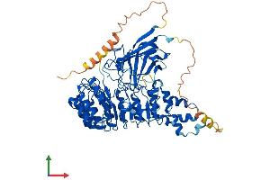 AlphaFold protein structure predicition of Mouse Recombinant Fbxl4 Protein, UniprotID Q8BH70
