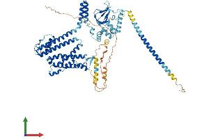 Protein Structure (PS) image for Cyclic Nucleotide Gated Channel alpha 2 (CNGA2) (AA 1-664) protein (His tag) (ABIN7557787)