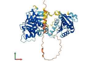 AlphaFold protein structure predicition of Human Recombinant DDX19B Protein, UniprotID Q9UMR2