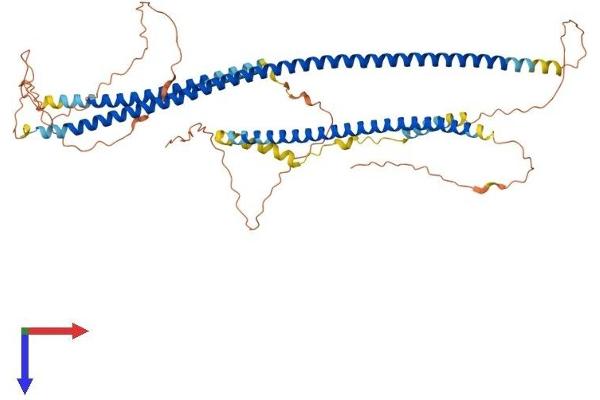 IFFO1 Protein (AA 1-562) (His tag)