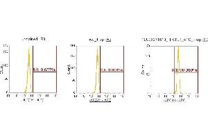 Flow Cytometry (FACS) image for anti-Cofilin 1 (CFL1) (AA 1-166) antibody (APC) (ABIN5566999) (Cofilin 抗体  (AA 1-166) (APC))
