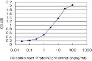 Detection limit for recombinant GST tagged MAPK1 is approximately 0. (ERK2 抗体  (AA 261-360))