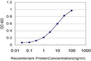 ELISA image for anti-Peptidyl Arginine Deiminase, Type II (PADI2) (AA 1-108) antibody (ABIN564891)