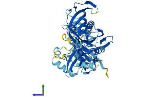 AlphaFold protein structure predicition of Mouse Recombinant Eef1a2 Protein, UniprotID P62631