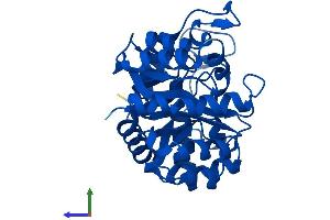 AlphaFold protein structure predicition of Mouse Recombinant Tatdn1 Protein, UniprotID Q6P8M1