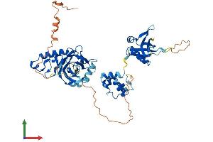 AlphaFold protein structure predicition of Human Recombinant TFCP2L1 Protein, UniprotID Q9NZI6 (TFCP2L1 Protein (AA 1-479) (His tag))