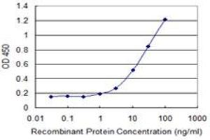 Detection limit for recombinant GST tagged CCDC115 is 0. (CCDC115 抗体  (AA 1-132))