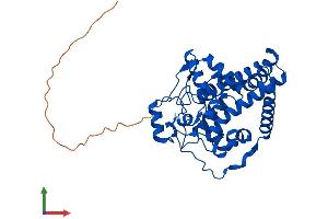 Protein Structure (PS) image for Stearoyl-CoA Desaturase (Delta-9-Desaturase) (SCD) (AA 1-355) protein (His tag) (ABIN7562859)