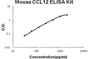 Mouse CCL12/MCP5 Accusignal ELISA Kit Mouse CCL12/MCP5 AccuSignal ELISA Kit standard curve. (Ccl12 ELISA 试剂盒)