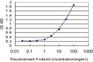 Detection limit for recombinant GST tagged AXL is approximately 1ng/ml as a capture antibody. (AXL 抗体  (AA 30-140))