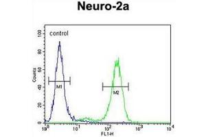 Flow cytometric analysis of Neuro-2a cells using DDX11 Antibody (Center) Cat. (DDX11 抗体  (Middle Region))