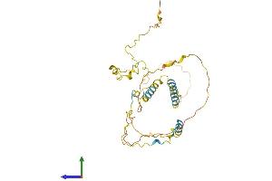 Protein Structure (PS) image for KIAA1191 (KIAA1191) (AA 1-305) protein (His tag) (ABIN7550483)