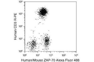 Human peripheral blood from normal donors was stained using a combination of anti–human CD3 monoclonal antibody (clone: S4. (FIX&PERM® Solution B (Perm))