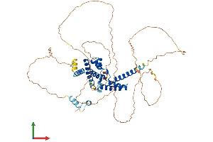 AlphaFold protein structure predicition of Mouse Recombinant Hnf1b Protein, UniprotID P27889 (HNF1B Protein (AA 1-558) (His tag))