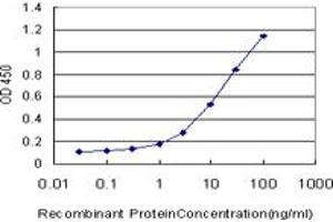 Detection limit for recombinant GST tagged TWIST1 is approximately 0. (TWIST1 抗体  (AA 100-202))