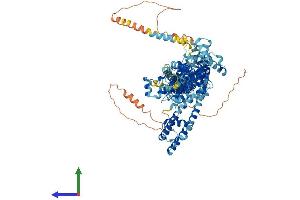 Protein Structure (PS) image for Transient Receptor Potential Cation Channel, Subfamily C, Member 6 (TRPC6) (AA 1-930) protein (His tag) (ABIN7563901)