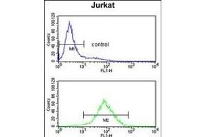 M1H Antibody (Center) (ABIN653037 and ABIN2842651) flow cytometry analysis of Jurkat cells (bottom histogram) compared to a negative control cell (top histogram). (PPM1H 抗体  (AA 235-263))