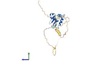 Protein Structure (PS) image for FEV (ETS Oncogene Family) (FEV) (AA 1-237) protein (His tag) (ABIN7559601)