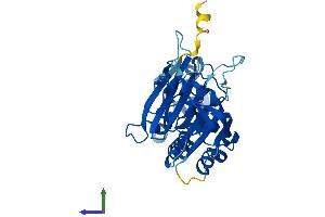 Protein Structure (PS) image for Ribonuclease P/MRP 40kDa Subunit (RPP40) (AA 1-363) protein (His tag) (ABIN7551537)