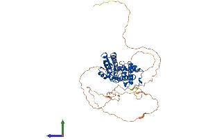 AlphaFold protein structure predicition of Mouse Recombinant Eya3 Protein, UniprotID P97480