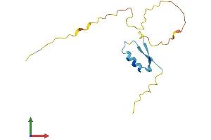 Protein Structure (PS) image for Ripply2 Homolog (RIPPLY2) (AA 1-128) protein (His tag) (ABIN7557013)