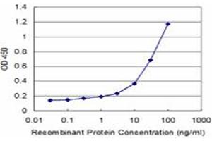 Detection limit for recombinant GST tagged STCH is approximately 1ng/ml as a capture antibody. (HSPA13 抗体  (AA 375-470))
