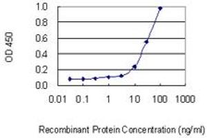 Detection limit for recombinant GST tagged PRPF4B is 1 ng/ml as a capture antibody. (PRPF4B 抗体  (AA 898-1005))