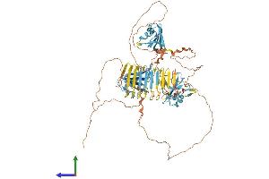 Protein Structure (PS) image for Deleted in Azoospermia 1 (DAZ1) (AA 1-744) protein (His tag) (ABIN7546948)