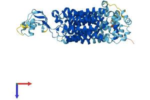 SLC22A12 Protein (AA 1-553) (His tag)