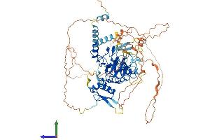 AlphaFold protein structure predicition of Mouse Recombinant Setdb2 Protein, UniprotID Q8C267