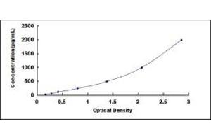 Typical standard curve (TERT ELISA 试剂盒)