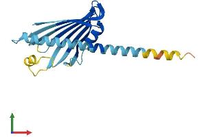 Protein Structure (PS) image for Slowmo Homolog 2 (SLMO2) (AA 1-194) protein (His tag) (ABIN7550871)