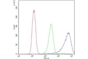Flow cytometry testing of human A431 cells with Calpastatin antibody at 1ug/10^6 cells (blocked with goat sera) (Calpastatin 抗体  (AA 275-310))