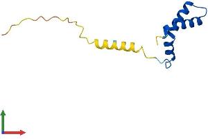 AlphaFold protein structure predicition of Human Recombinant DPY30 Protein, UniprotID Q9C005 (DPY30 Protein (AA 1-99) (His tag))
