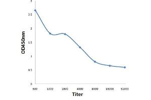 Antigen: 0. (Retinoblastoma 1 抗体  (pThr821))