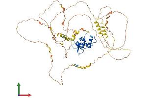 Protein Structure (PS) image for Ets2 Repressor Factor (ERF) (AA 1-551) protein (His tag) (ABIN7556728)