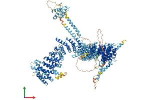 Protein Structure (PS) image for Non-SMC Condensin I Complex, Subunit D2 (NCAPD2) (AA 1-1392) protein (His tag) (ABIN7564643)