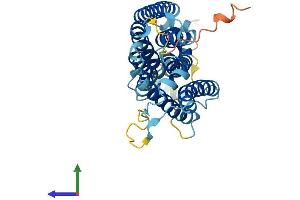 Protein Structure (PS) image for Organic Solute Transporter alpha (OSTALPHA) (AA 1-340) protein (His tag) (ABIN7559608)