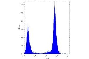 TLR4 antibody flow cytometric analysis of U251 cells (right histogram) compared to a negative control (left histogram). (TLR4 抗体  (AA 669-698))