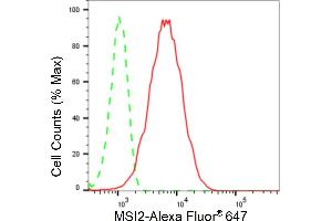 Flow cytometric analysis of MSI2 expression in HepG2 cells using MSI2 antibody (ABIN7799495), 1:2,000).