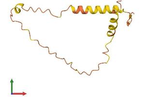 AlphaFold protein structure predicition of Human Recombinant BLID Protein, UniprotID Q8IZY5