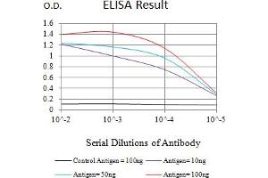 Black line: Control Antigen (100 ng),Purple line: Antigen (10 ng), Blue line: Antigen (50 ng), Red line:Antigen (100 ng) (NEFH 抗体  (AA 2-251))