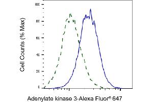 Validation of Adenylate kinase 3 knockdown using flow cytometry. (Adenylate Kinase 3 抗体)