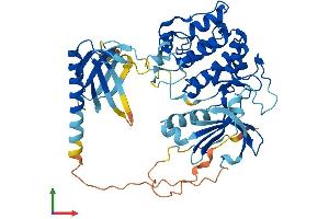 AlphaFold protein structure predicition of Human Recombinant AKT1 Protein, UniprotID P31749 (AKT1 Protein (AA 1-480) (His tag))