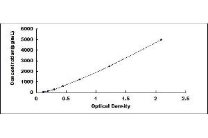 Typical standard curve (C2orf40 ELISA 试剂盒)