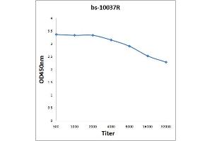 ELISA image for anti-Nuclear Factor of kappa Light Polypeptide Gene Enhancer in B-Cells 2 (NFKB2) (AA 151-250) antibody (ABIN1386117)
