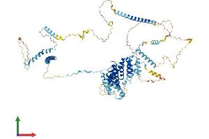 Protein Structure (PS) image for NOP14 Nucleolar Protein (Nop14) (AA 1-860) protein (His tag) (ABIN7559741)